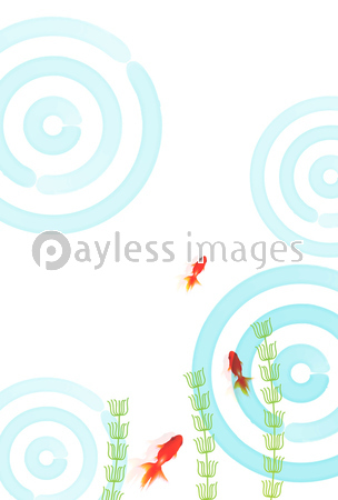 金魚 水草 暑中見舞い 背景 ストックフォトの定額制ペイレスイメージズ