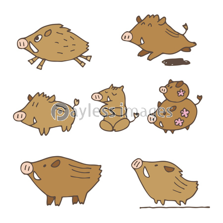 手書き 猪のイラスト 年賀状素材 干支動物 ストックフォトの定額制