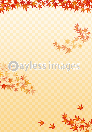 紅葉 背景 市松模様 ストックフォトの定額制ペイレスイメージズ