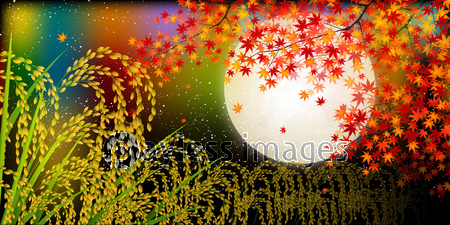 紅葉 秋 風景 背景 商用利用可能な写真素材 イラスト素材ならストックフォトの定額制ペイレスイメージズ