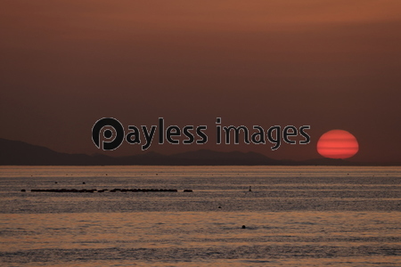 �������ͼ���