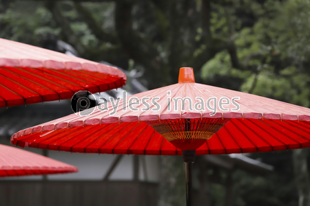 赤い傘 野点傘 商用利用可能な写真素材 イラスト素材ならストックフォトの定額制ペイレスイメージズ