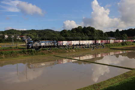 ���Ŀ����