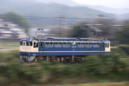 ñ�����Ԥ��Σ�