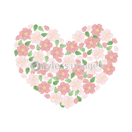 水彩 桜 ハート型 イラスト ストックフォトの定額制ペイレスイメージズ
