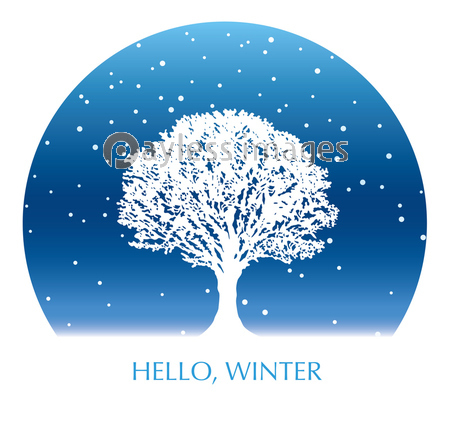 雪原の木 円形の背景 ストックフォトの定額制ペイレスイメージズ