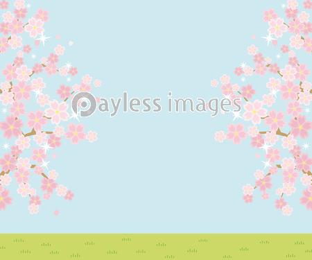 桜のある春の風景のイラスト 空と草原 レクタングルバナーバージョン ストックフォトの定額制ペイレスイメージズ