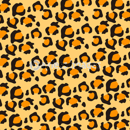 豹柄 レオパード柄 ストックフォトの定額制ペイレスイメージズ