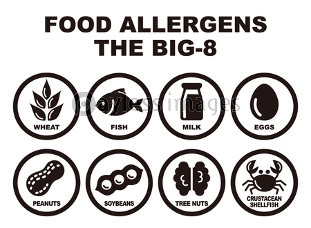 食物アレルギー誘発物質 8品目 アイコンイラスト ストックフォトの定額制ペイレスイメージズ