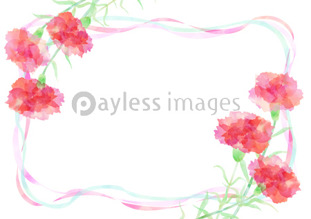 カーネーションとリボンのフレーム 商用利用可能な写真素材 イラスト素材ならストックフォトの定額制ペイレスイメージズ