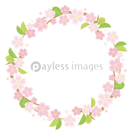 葉桜のサークルフレーム 白背景 商用利用可能な写真素材 イラスト素材ならストックフォトの定額制ペイレスイメージズ