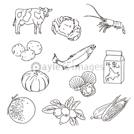 北海道特産品手描きスケッチイラスト ストックフォトの定額制ペイレスイメージズ