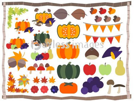 秋の植物 野菜 果物のイラスト ストックフォトの定額制ペイレスイメージズ