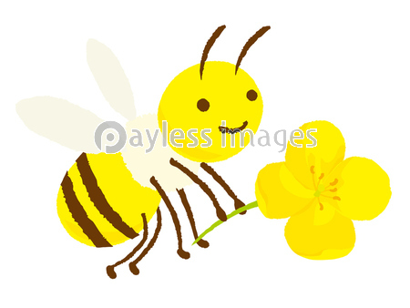 ミツバチ キャラクター ストックフォトの定額制ペイレスイメージズ