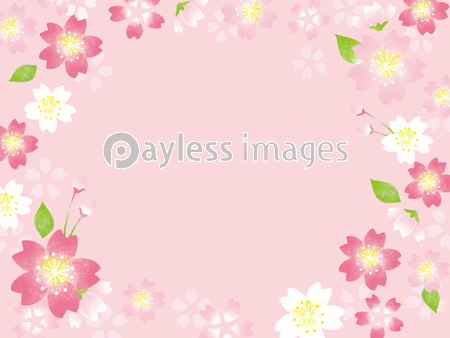 桜 フレームイラスト ストックフォトの定額制ペイレスイメージズ