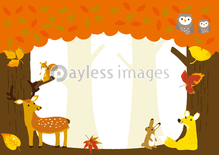 秋イメージイラスト 森の動物たち 商用利用可能な写真素材 イラスト素材ならストックフォトの定額制ペイレスイメージズ