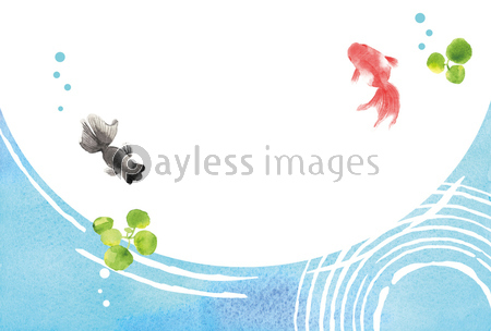 金魚 夏イメージ 背景イラスト 商用利用可能な写真素材 イラスト素材ならストックフォトの定額制ペイレスイメージズ