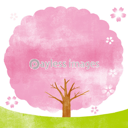 桜 フレームイラスト 水彩 商用利用可能な写真素材 イラスト素材ならストックフォトの定額制ペイレスイメージズ 桜 フレームイラスト 水彩 商用利用可能な写真素材 イラスト素材ならストックフォトの定額制ペイレスイメージズ