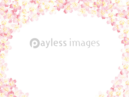 桜 フレームイラスト 水彩 - 商用利用可能な写真素材・イラスト素材