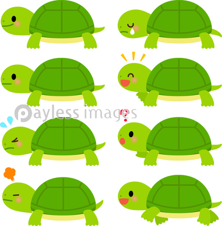 かわいい亀の表情イラストセット 商用利用可能な写真素材 イラスト素材ならストックフォトの定額制ペイレスイメージズ