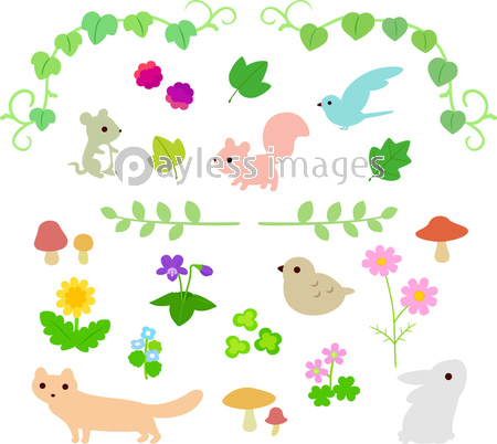 草花と小動物のイラストセット ストックフォトの定額制ペイレスイメージズ