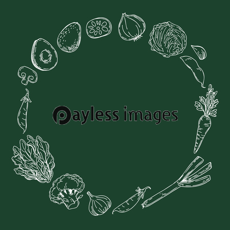 野菜の手描きイラスト フレーム ストックフォトの定額制ペイレスイメージズ