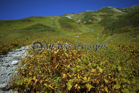 ����Ω�� ��Ļ��