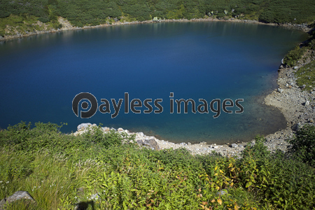 Ω����Ʋ�Τߤ��꤬��