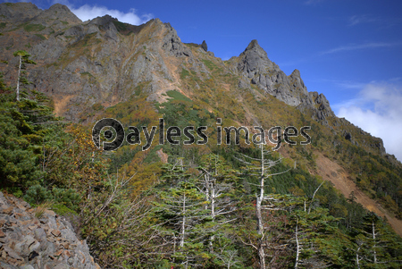 �齩���ֳ٤�ŷ�������δ���