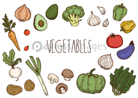 ◇手描きイラスト◇瑠菜様用頁 野菜の手描きイラストセット 線画のイラスト素材 [77479400] - PIXTA