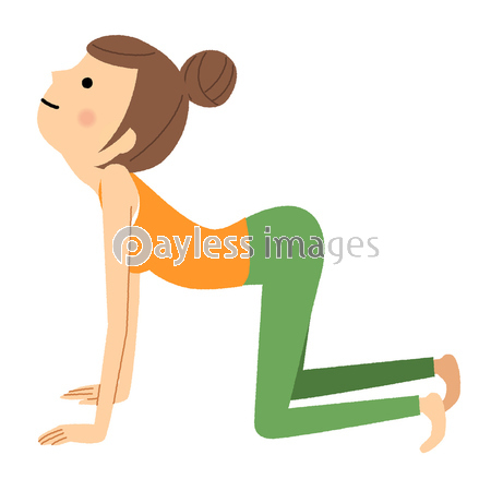 ヨガ 猫のポーズ 商用利用可能な写真素材 イラスト素材ならストックフォトの定額制ペイレスイメージズ