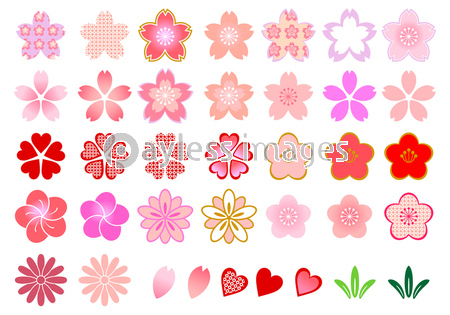 和風 花のアイコン セット ストックフォトの定額制ペイレスイメージズ