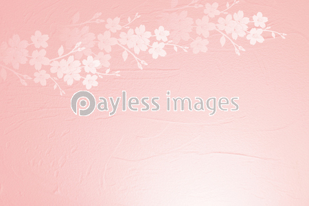 桜のシルエット 背景は薄いピンクの塗り壁 商用利用可能な写真素材 イラスト素材ならストックフォトの定額制ペイレスイメージズ