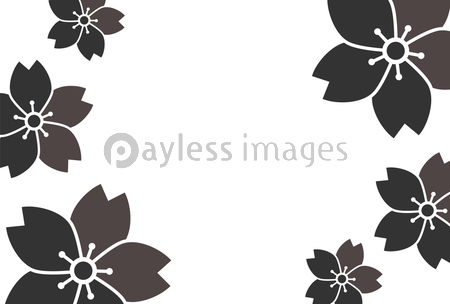 桜 花 シルエット 背景 商用利用可能な写真素材 イラスト素材ならストックフォトの定額制ペイレスイメージズ