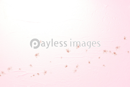 舞い散る桜 背景は薄いピンクの塗り壁 商用利用可能な写真素材 イラスト素材ならストックフォトの定額制ペイレスイメージズ