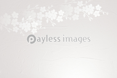 桜のシルエット 背景は薄いピンクの塗り壁 商用利用可能な写真素材 イラスト素材ならストックフォトの定額制ペイレスイメージズ