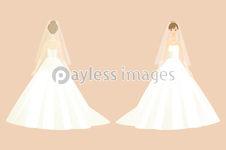 ウェディングドレスを着た新婦のイラスト ストックフォトの定額制ペイレスイメージズ