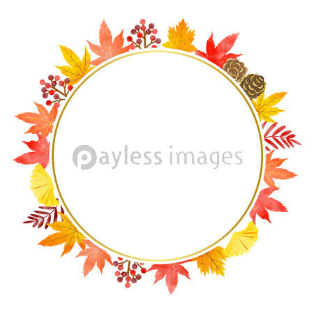 秋の植物 フレーム 水彩風 写真素材 イラスト素材ならストックフォトの定額制ペイレスイメージズ