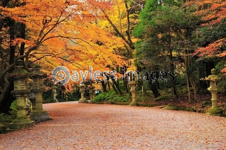 �����ܤι���