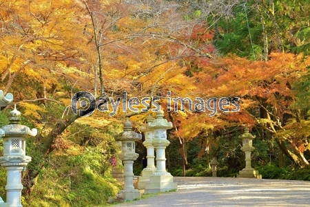 �����ܤι���