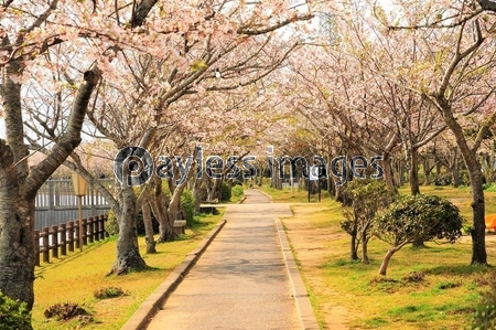 ����κ��ȻҤɤ�