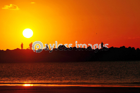 ͼ���γ��ߤǲᤴ���͡�