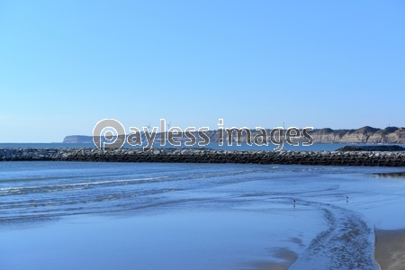 ���줿����֢�������θ��