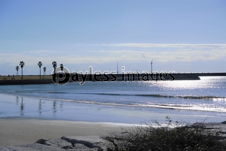 ���줿����֢�������θ��