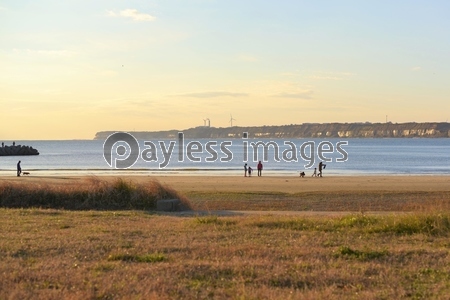 ���줿����֢�������θ��