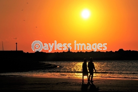 ͼ���γ��ߤǲᤴ���͡�