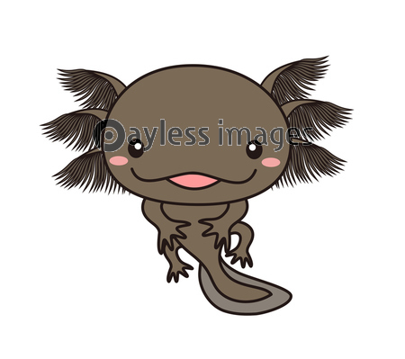 ウーパールーパー メキシコサンショウウオ アホロートル イラスト ストックフォトの定額制ペイレスイメージズ