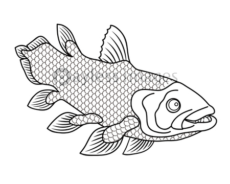 シーラカンス 深海魚 キャラクター ぬりえ イラスト クリップアート 商用利用可能な写真素材 イラスト 素材ならストックフォトの定額制ペイレスイメージズ