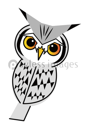 フクロウ お洒落なコノハズクさん ベクター イラスト ストックフォトの定額制ペイレスイメージズ