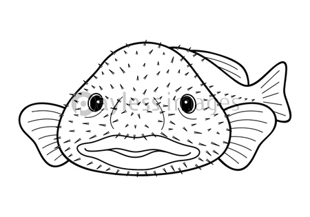 ブロブフィッシュ ニュウドウカジカ 深海魚 キャラクター ベクターイラスト 商用利用可能な写真素材 イラスト素材ならストックフォトの定額制ペイレスイメージズ